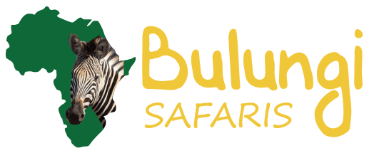 Bulungi Logo