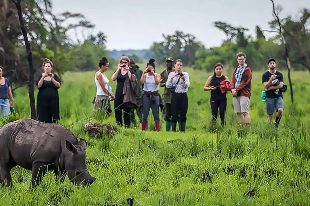 Rhino Tracking