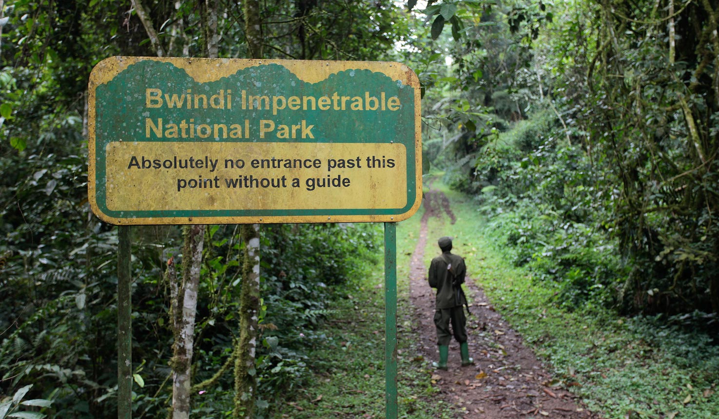 3 Days Bwindi Gorilla Tour