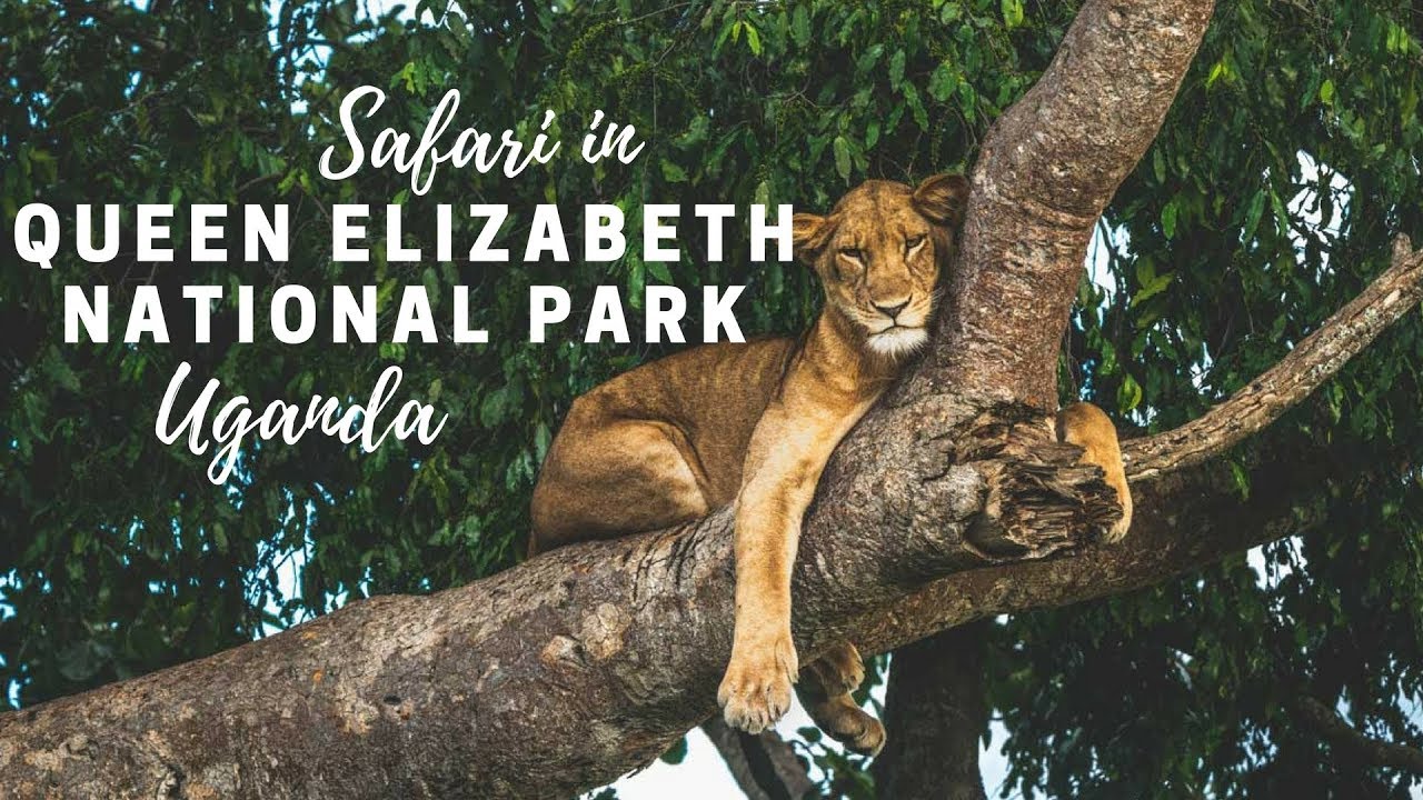 Queen Elizabeth National Park