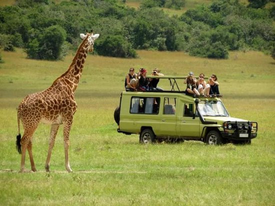 7 Days Uganda Wildlife Safari